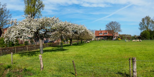 2: 210509-101110_Rossum-Pano