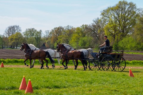 3: 210509-101239_Rossum