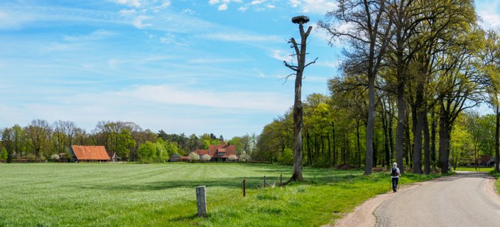 8: 210509-110213_Rossum-Pano