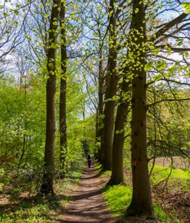 11: 210509-110834_Rossum<br>Landgoed het Everloo