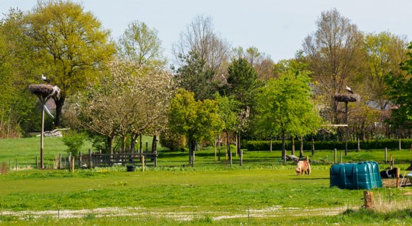 13: 210509-111956_Rossum