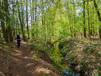 15: 210509-113426_Rossum<br>Roderveld