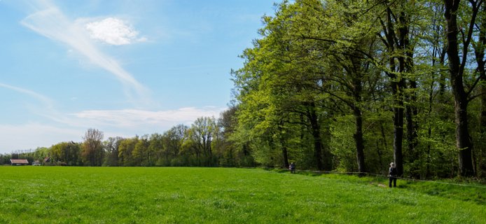 16: 210509-113535_Rossum-Pano