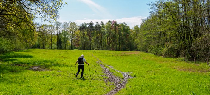 17: 210509-113902_Rossum-Pano<br>Het Roderveld is hier drassig