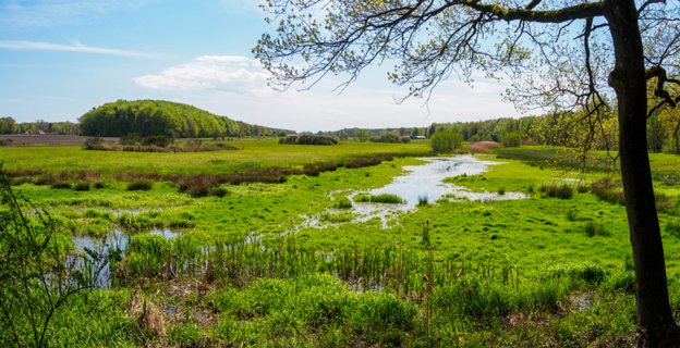 21: 210509-115710_Rossum-Pano