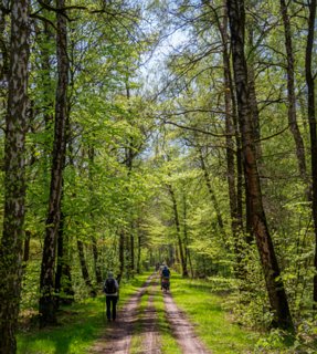 23: 210509-121929_Rossum