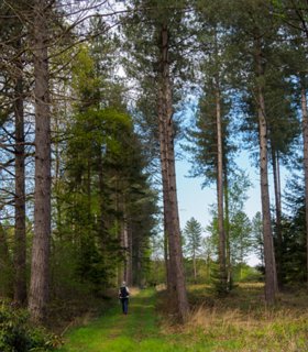 25: 210509-124352_Rossum