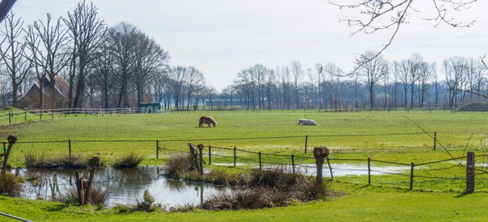 3: 180407-101106_OotmarsumOost