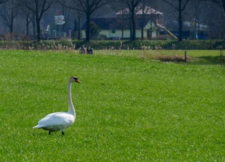 9: 180407-111227_OotmarsumOost