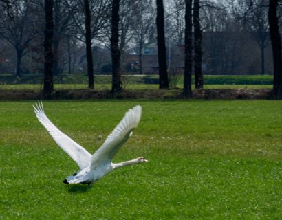 10: 180407-111250_OotmarsumOost