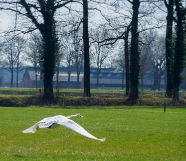 11: 180407-111252_OotmarsumOost