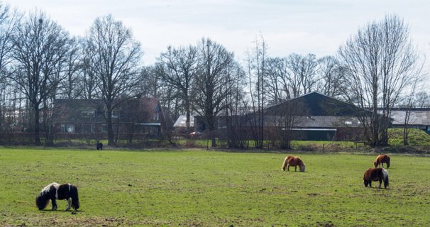 16: 180407-115454_OotmarsumOost