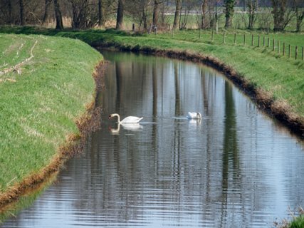 17: 180407-120136_OotmarsumOost