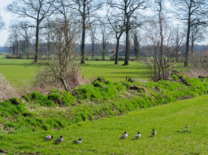 20: 180407-120933_OotmarsumOost