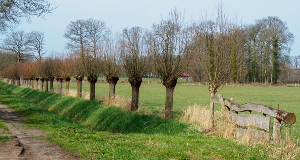 21: 180407-121814_OotmarsumOost