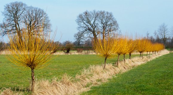 22: 180407-121840_OotmarsumOost