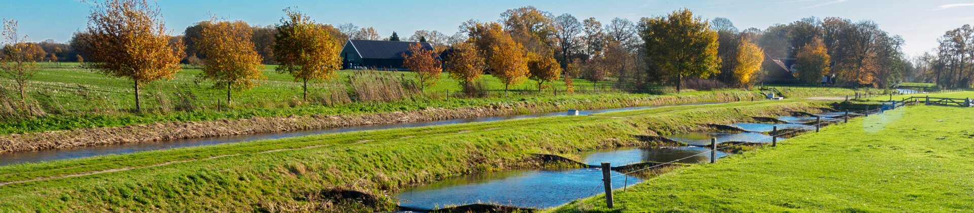 Klik om de knoppen te tonen of te verbergen