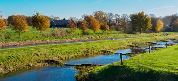 13: 201118-123728_Entere