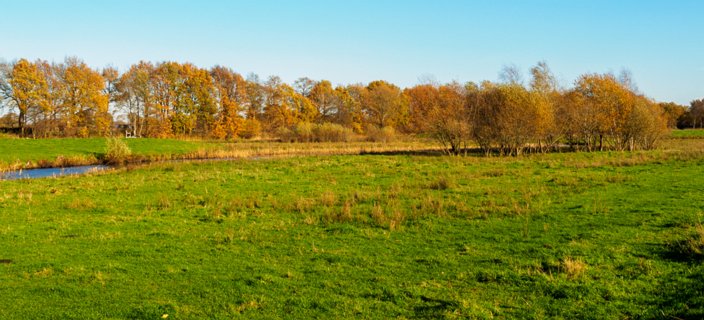 14: 201118-130752_Entere