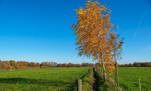 15: 201118-130857_Entere