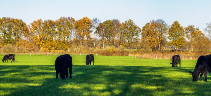 16: 201118-131454_Entere-Pano