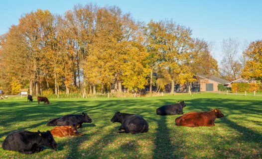 17: 201118-132133_Entere