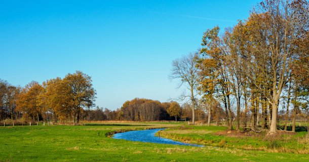 19: 201118-134157_Entere