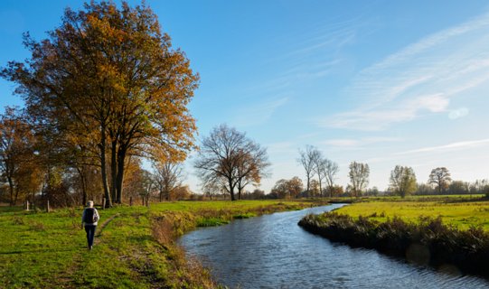 24: 201118-140233_Entere