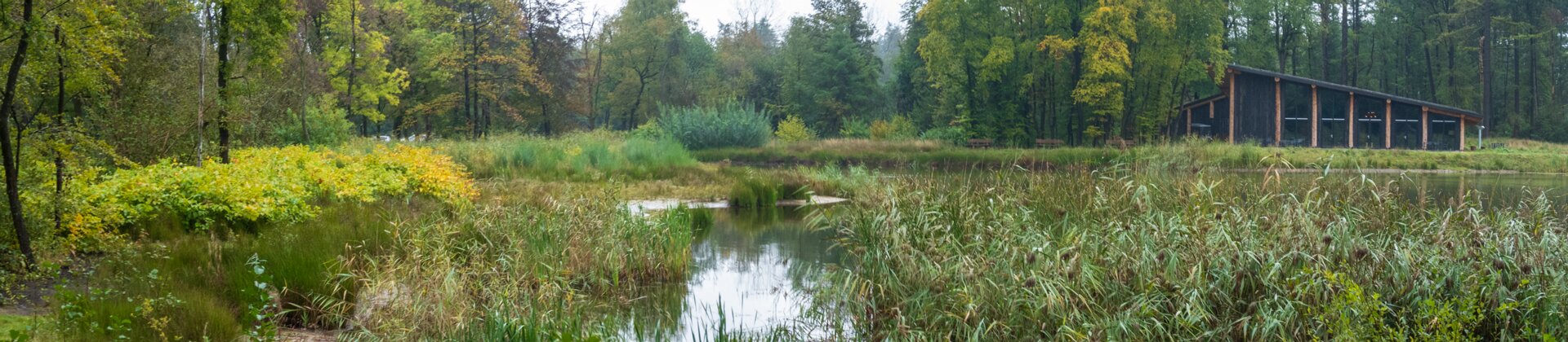 Klik om de knoppen te tonen of te verbergen