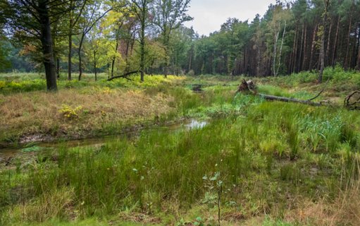 20: 241002-123351_Christinalust