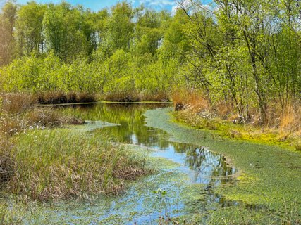 35: IMG_2288<br>Idem JPG  improved in LRC