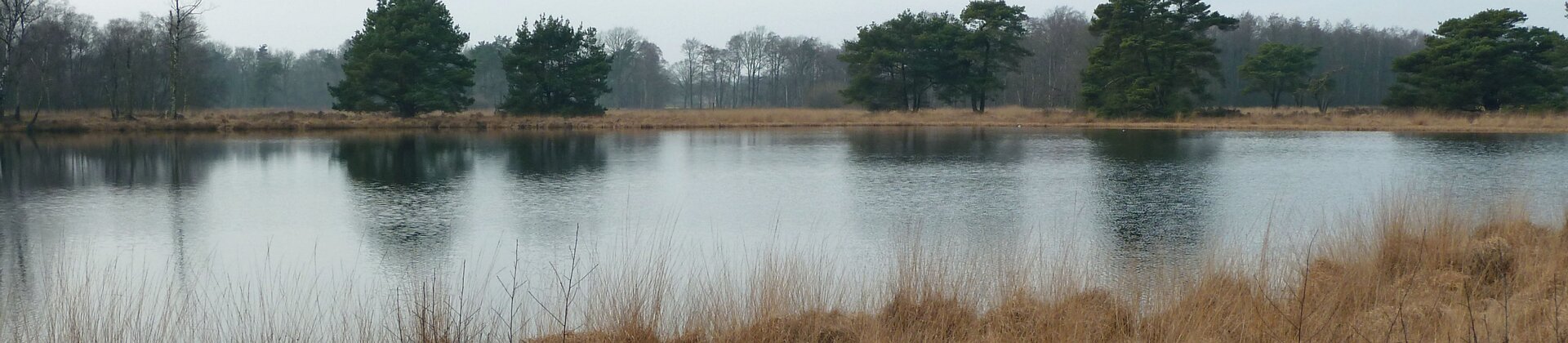 Klik om de knoppen te tonen of te verbergen