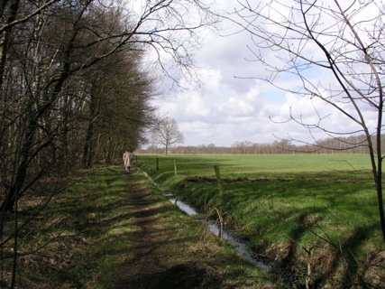 12: Hondenven_030406_1036