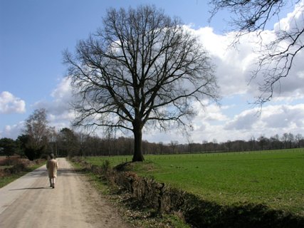 14: Hondenven_030406_1048