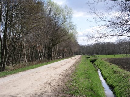 18: Hondenven_030406_1056