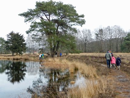 19: Hondenven_120304_1359