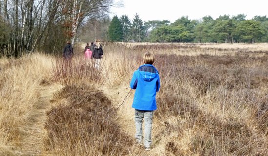 21: Hondenven_120304_1414B