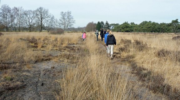 22: Hondenven_120304_1417