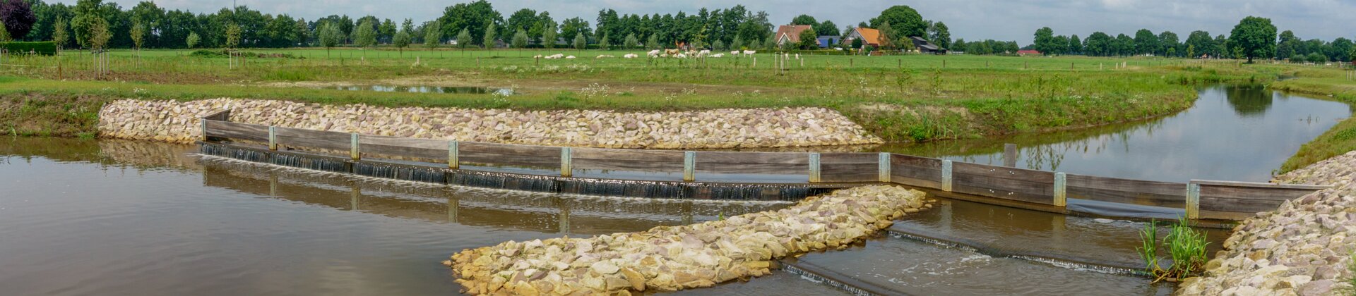 Klik om de knoppen te tonen of te verbergen