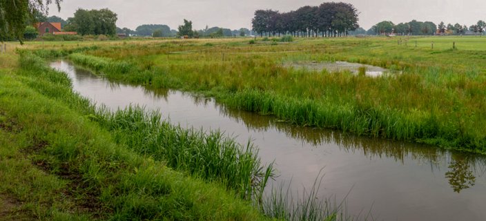 5: 140727-115811_Markgraven-bewerkt _2_0000