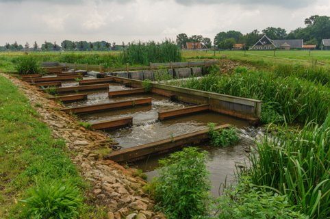 6: 140727-120035_Markgraven<br>Vistrap in de Midden Regge