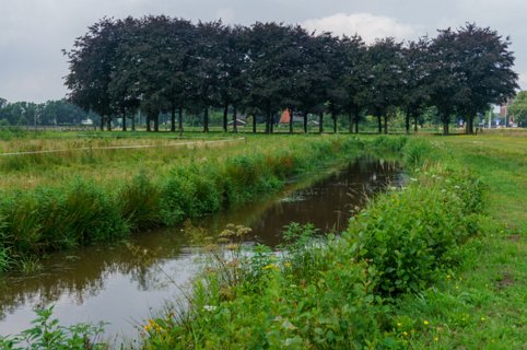 9: 140727-120618_Markgraven