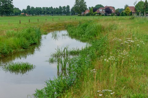 12: 140727-145424_Markgraven