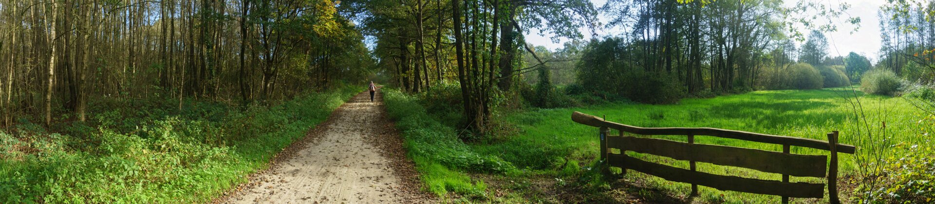 Klik om de knoppen te tonen of te verbergen
