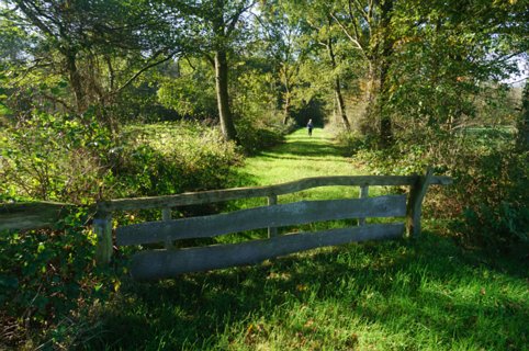 3: 141019-111448_Reutum