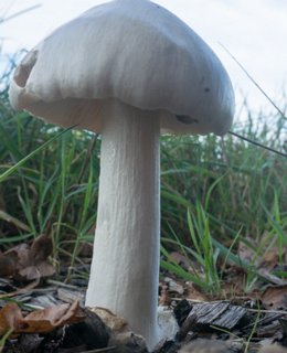 6: 141019-113625_Reutum