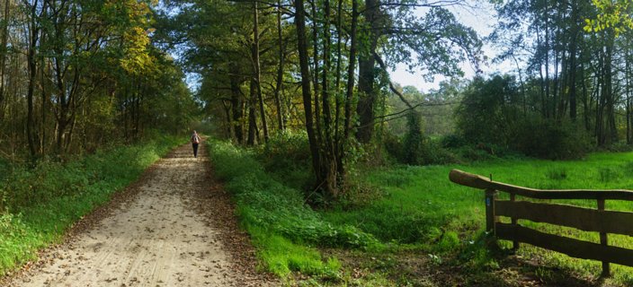 9: 141019-114447_Reutum-bewerkt _3_0000