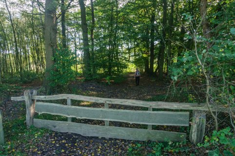 14: 141019-115905_Reutum