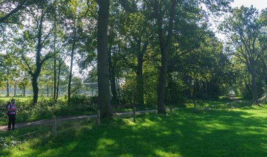 18: 141019-120253_Reutum