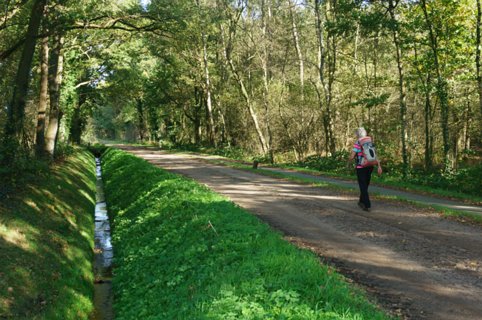 26: 141019-131916_Reutum